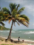 Playa Mala Pascua - PATILLAS